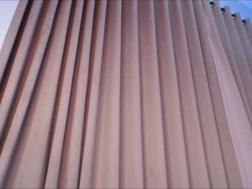 female cam girl sofia_sakura image #1804163