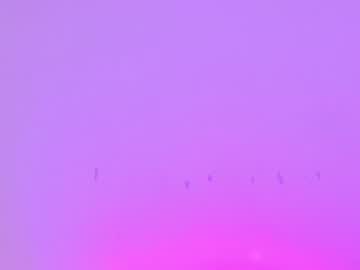 female cam girl sapphirealice image #638447