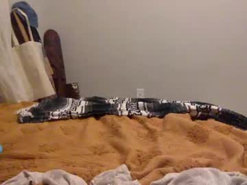 female cam girl chiaxoxo image #2278037