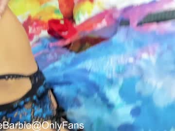 female cam girl rvlifebarbie image #1915805