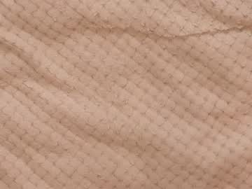 female cam girl shycinderella image #1874529