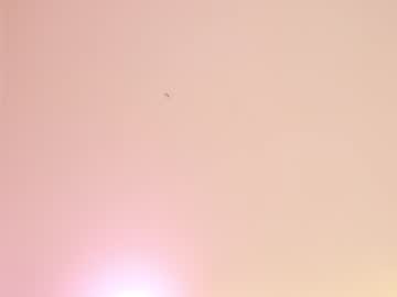 female cam girl sae__ image #3604810