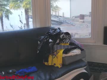 female cam girl rvlifebarbie image #3151289