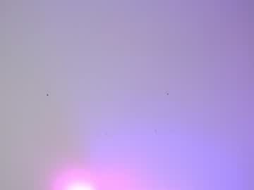 female cam girl shycinderella image #1034710