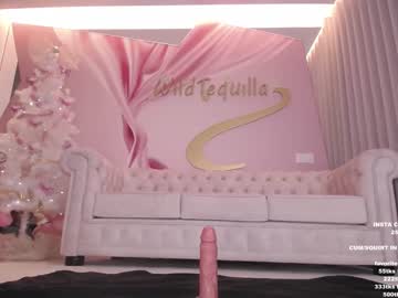 female cam girl wildtequilla image #3309592