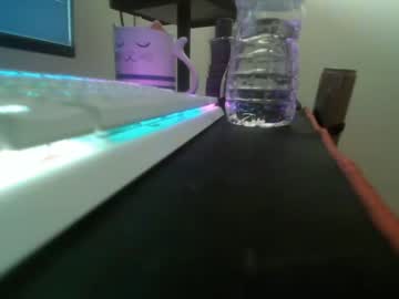 sushisocks  webcam