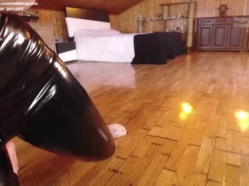 female cam girl wildtequilla image #1549223
