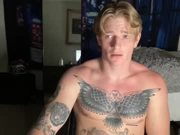 yyfb  webcam