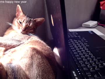 glassi  female  webcam