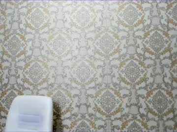 female cam girl shy__kira image #3947595