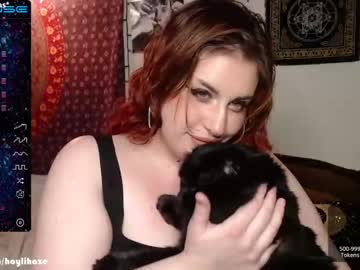female cam girl haylihaze image #3546977