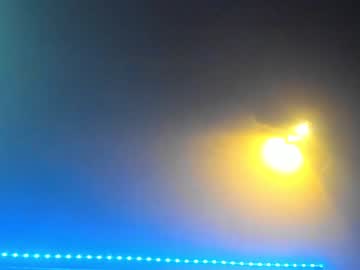 female cam girl _meganmeow_ image #2177867