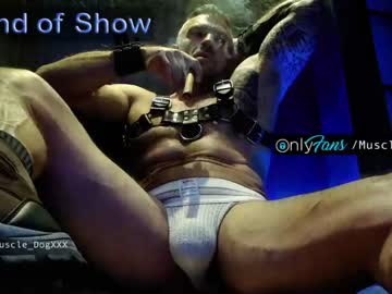 female cam man muscle_dog image #747356