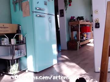 female cam girl artemisfit image #911353