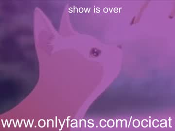 female cam girl ocicat image #2413969