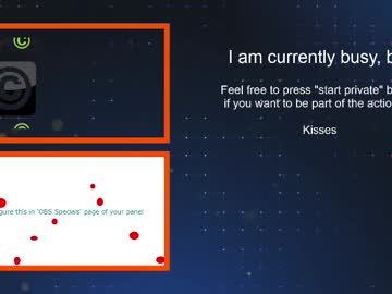 niksers  webcam