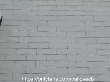 female cam girl vallovecb image #1314351