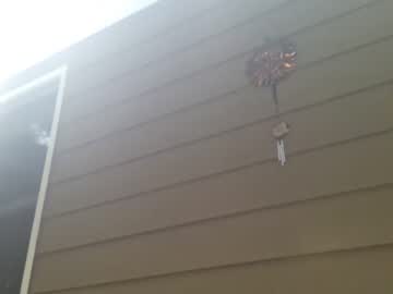 female cam girl pennypixie image #2347494