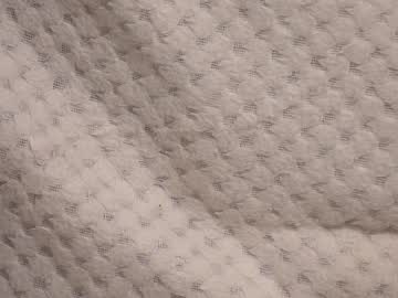 female cam girl shycinderella image #2004146