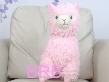 female cam girl sapphirealice image #3677217