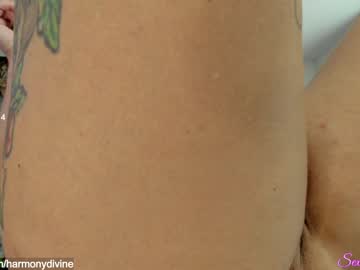 female cam girl sexual_essence image #2562499