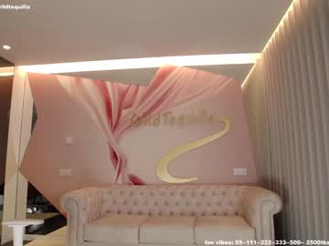 female cam girl wildtequilla image #2835078