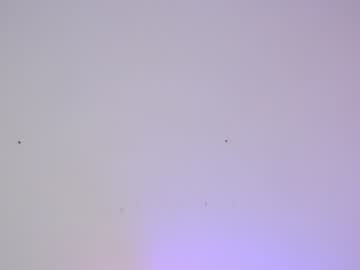 female cam girl sapphirealice image #1412824
