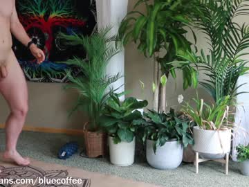 female cam man bluecoffee image #2297515