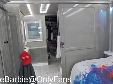female cam girl rvlifebarbie image #1918103