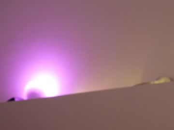 female cam girl sasha_ursx image #1469604