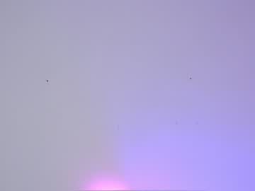 female cam girl sapphirealice image #1263132