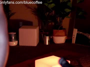 female cam man bluecoffee image #783274