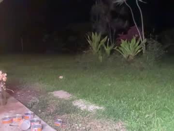 female cam girl kaileeshy image #1948208