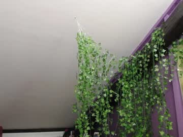 female cam girl molly_redhead image #1363051