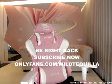 female cam girl wildtequilla image #2841613